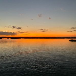 Meet your Posher, Ricky